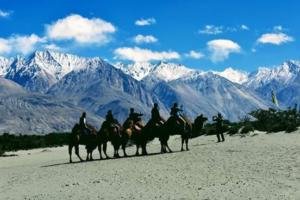 WhatsApp Image 2018-12-19 at 7.15.50 PM