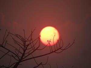 WhatsApp Image 2018-12-19 at 8.03.09 PM